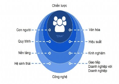 Đẩy nhanh quá trình chuyển đổi số đối với ngành y tế
