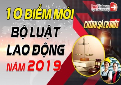 Nhiều điểm mới trong Bộ luật lao động về hợp đồng lao động