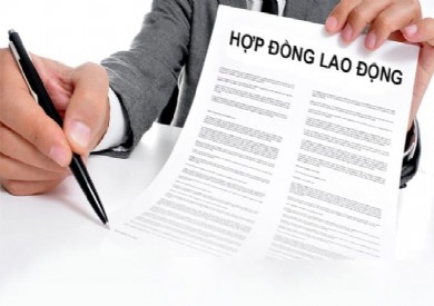 Mẫu hợp đồng lao động trong cơ quan hành chính và đơn vị sự nghiệp công lập