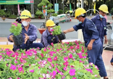 Hoàn thành việc rà soát hệ thống trả lương 3P tại Công ty Cổ phần Môi trường và Dịch vụ Đô thị Sơn La