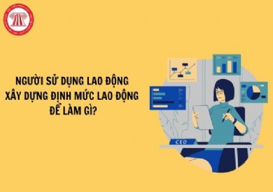 Người sử dụng lao động xây dựng định mức lao động để làm gì?