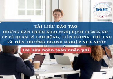 TÀI LIỆU HƯỚNG DẪN TRIỂN KHAI NGHỊ ĐỊNH 44/2025/NĐ - CP NGÀY 28/02/2025 VỀ QUẢN LÝ LAO ĐỘNG, TIỀN LƯƠNG, THÙ LAO VÀ TIỀN THƯỞNG DOANH NGHIỆP NHÀ NƯỚC