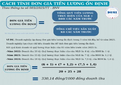 Tổng quan về Thông tư 003/2025/TT – BNV Hướng dẫn thực hiện quản lý lao động, tiền lương, thù lao, tiền thưởng trong doanh nghiệp Nhà nước