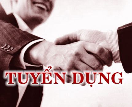 3 tố chất của ứng viên được nhà tuyển dụng săn đón