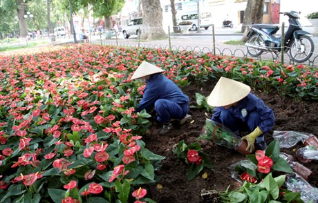 DOMI cung cấp dịch vụ tư vấn Xây dựng thang lương, bảng lương và Quy chế trả lương tại công ty TNHH MTV Công viên Cây xanh Hà Nội