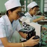 Thứ bậc Việt Nam trên bảng xếp hạng trí tuệ toàn cầu: Báo động đỏ