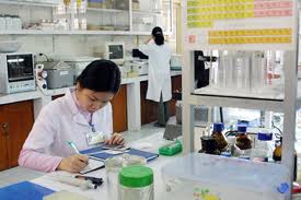 Vốn xã hội cho phát triển KH&CN Việt Nam
